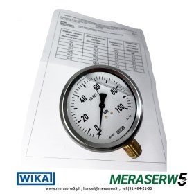 M100R/G 0-100BAR WIKA PCA str2